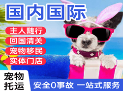 龙湾机场物流国际宠物托运 【国
